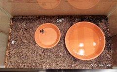 IMG_1320.JPG