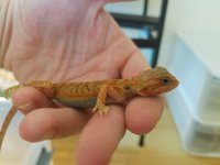 20160926_140235.jpg