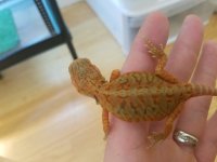 20160926_140211.jpg
