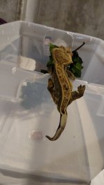 IMG_20160527_122011717.jpg