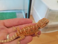 20160926_135935.jpg