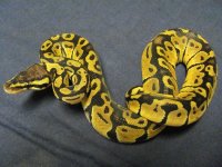 IMG_0825.jpg