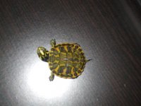 DSCF3037.jpg