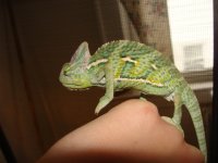 DSC04122.JPG