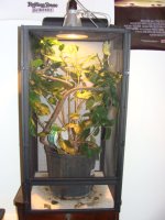 DSC04125.JPG