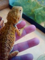 thumbnail_IMG_20170112_171831513.jpg