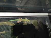 IMG_4480.jpg
