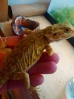 thumbnail_IMG_20170112_171912603.jpg