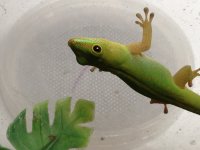IMG_0864.jpg