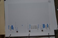 DSC_0019.jpg