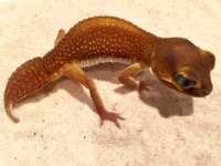 Patternless 2.jpg