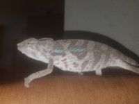 20160821_142641.jpg