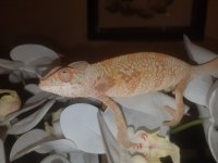 20160730_143739.jpg