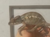 20160818_164136.jpg
