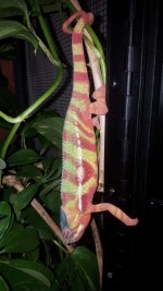 20160828_063953.jpg