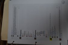 DSC_0031.jpg