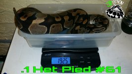 PicsArt_09-16-10.27.24.jpg