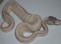 Picture5.jpg