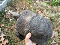 IMG_0228.jpg