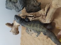 20161031_113511.jpg