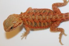 20161007142325.jpg