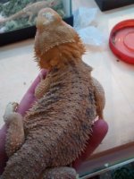 thumbnail_IMG_20161204_140321317.jpg