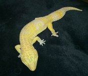 2016-08-14 18.40.11.jpg