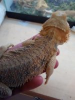 thumbnail_IMG_20161204_140333366.jpg