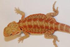 20161007143351.jpg