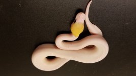 20160827_223841.jpg