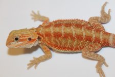 20161007143338.jpg