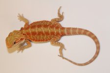 20161007143401.jpg