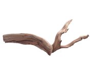 manzanita-wood-Mw20c.jpg