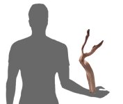manzanita-wood-Mw20size.jpg