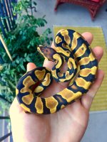 FullSizeRender (21).jpg