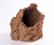 cork-bark-PC82c.jpg