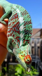 20160804_160158.jpg