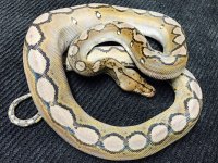 F039C00D-11C1-4BC6-BB81-F4FB6C9A3901_zpsgfyubidp.jpg
