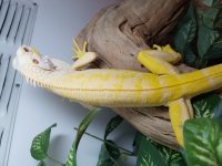 20160919_113821.jpg