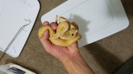 20161028_225233.jpg