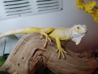 20160919_113852.jpg