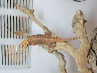 20160919_114934.jpg