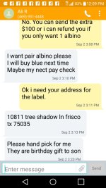Screenshot_2016-09-09-12-09-05.jpg