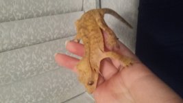 20170127_215139.jpg