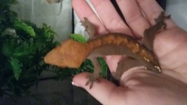 20170127_215217.jpg