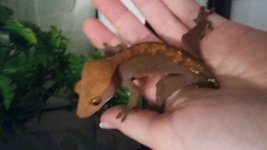 20170127_215221.jpg