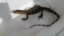 20160829_160314.jpg