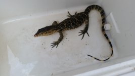 20160829_160328.jpg
