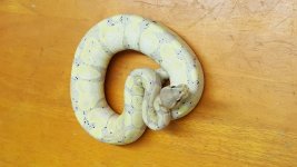 20160815_013816.jpg