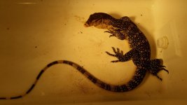 20160829_160207.jpg